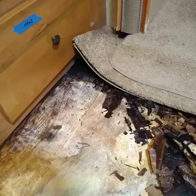 Wood Floor Water Damage in Glenarden, MD